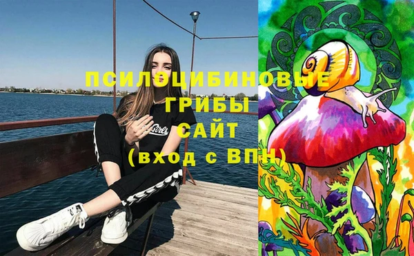соль курить ск Россошь