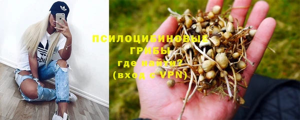 мескалин Пролетарск