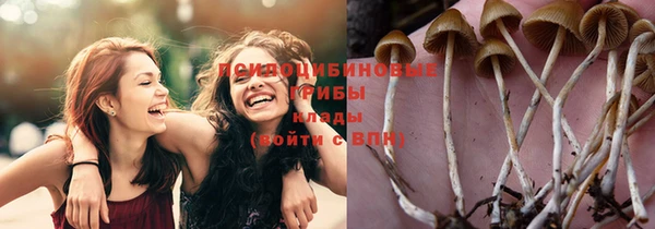 соль курить ск Россошь