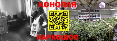 гидропоника Ирбит