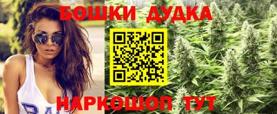 гидропоника Ирбит