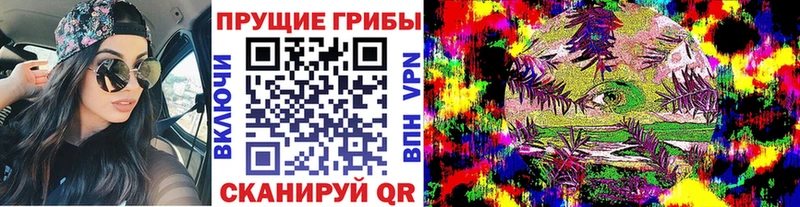 Галлюциногенные грибы мухоморы  купить наркоту  Светлоград 